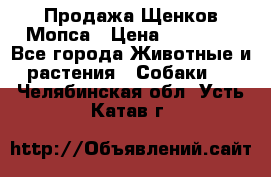 Продажа Щенков Мопса › Цена ­ 18 000 - Все города Животные и растения » Собаки   . Челябинская обл.,Усть-Катав г.